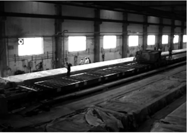 Figure 1. Sleepers factory. Long line process