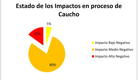 Ilustración 8. Estado de los Impactos en Proceso de Caucho 