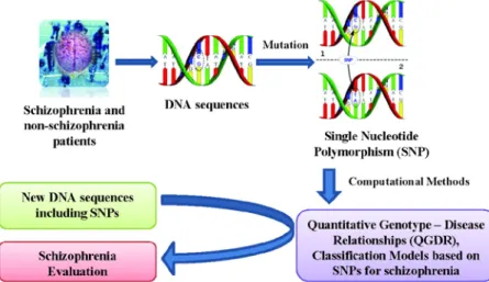 Figure 1.  Flow chart of the QGDR model classification between the DNA structure  (SNPs) and schizophrenia