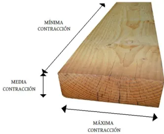 Figura 13: Movimientos de una tabla de madera según la disposición de las fibras. 