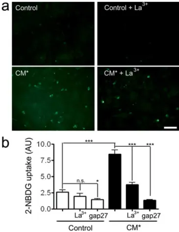 Figure 8. Proinflammatory treatment increases glucose uptake in astrocytes. a, Confluent astrocyte cultures were treated with CM* for 24 h, and then uptake of 2-NBDG, a fluorescent glucose derivative, was determined at 488 nm