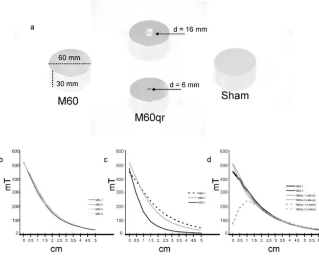 Figure 1.  a.  Pictures  of  the  two  different  magnets  with a  main  diameter  of  60 mm  (M60  and  M60qr)  and  the  sham