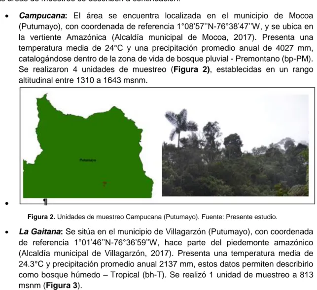 Figura 2. Unidades de muestreo Campucana (Putumayo). Fuente: Presente estudio. 