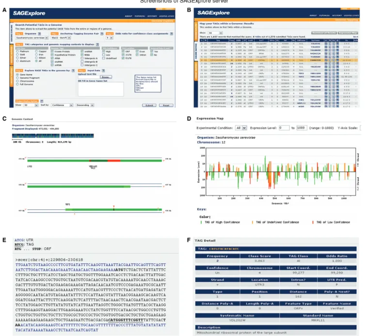 Figure 2. (A) Input form of genome explore module. (B) Output table of genome mapping module