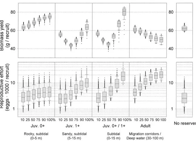 Figure 3. Simulations of the effects of different management strategies on female population dynamics and the fishery of the spider crab.