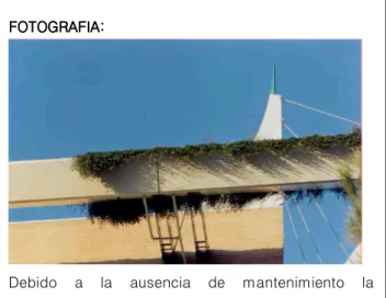 FOTO FOTO