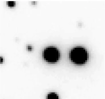 Figure 5 shows a 12 ; 12 arcsec 2 portion of a 0.6 00 seeing image, illustrating that the candidate star is unblended