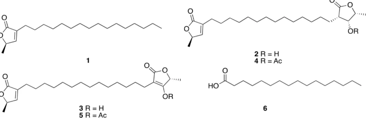 Figure 1. Structures of the aliphatic polyketides 1–3, along with their synthetic acetate derivatives 4  and 5, isolated from the gorgonian Pterogorgia anceps and palmitic acid (6) isolated from the sponge  Haliclona tubifera (now H