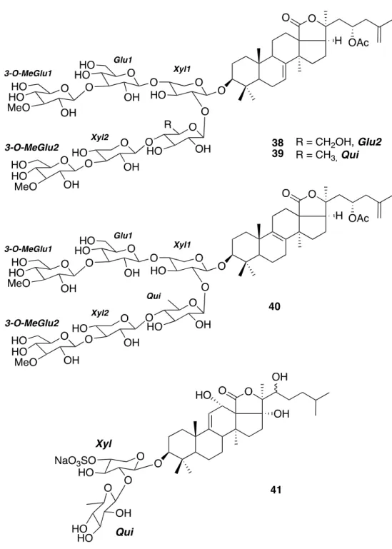 Figure 6. Structures of the triterpenoid saponins isolated from the sea cucumbers: the hexaglycosides  38-40 from Astichopus multifidus and the diglycoside 41 from Holothuria floridana (now H