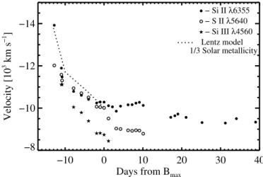 Fig. 13. The evolution of the velocity of the absorption lines of SN 2003du.