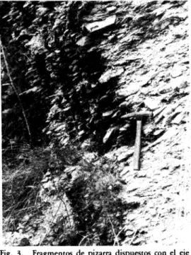 Fig. 3. Fragmentos de pizarra dispuestos con el eje mayor paralelo a la inclinación de la ladera (acentuado arrastre por gelifluxión).