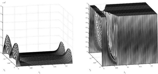 Figure 5. Pressure and concentration for the imposed load problem.