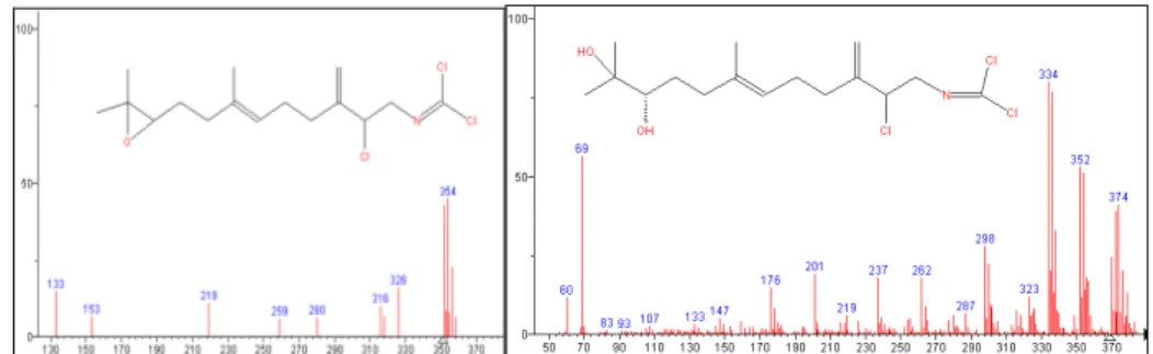 Figura 7: Espectros de Masas de la Axinyssmide A (izquierda) y la Axinyssmide C (derecha)