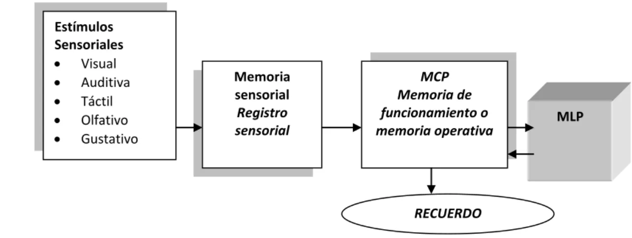 Fig. 9. Tipos de memoria (según Atkinson y Shiffrin 1968) 