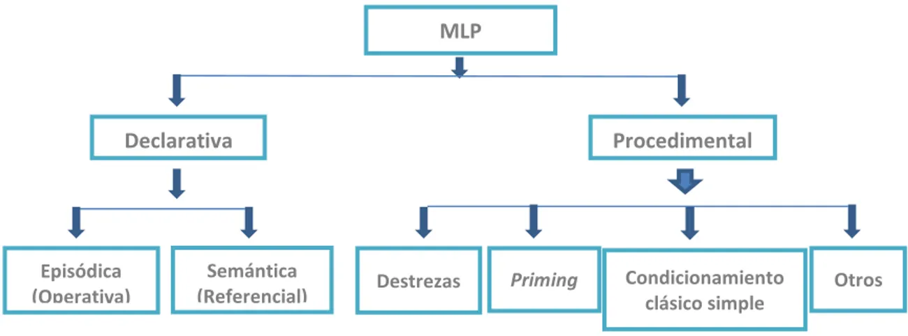 Fig. 10. Taxonomía de la MLP propuesta por Squire (1986 y 1987) (cit. por Ruiz Vargas 1995: 75) 