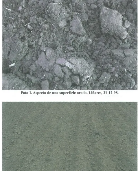 Foto  l.  Aspecto de una superficie arada. Liñares, 21-12-98. 
