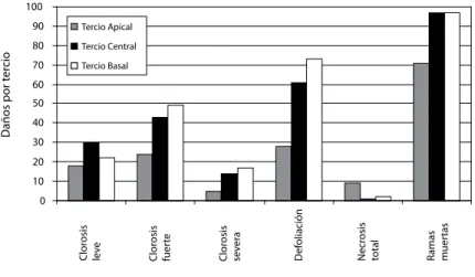 Figura 2. Daños causados por Cinara cupressi, observados y descritos por tercio de árboles de ciprés de la cordillera  (Austrocedrus chilensis).