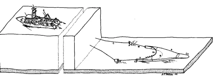 Figura 3.1. Elementos del arte de arrastre de fondo. B: burlón o relinga inferior, C: cable, Ca: