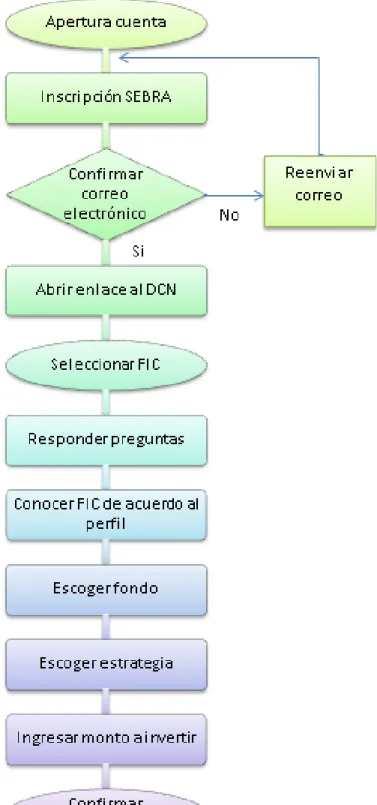 Figura 1. Descripción del proceso  