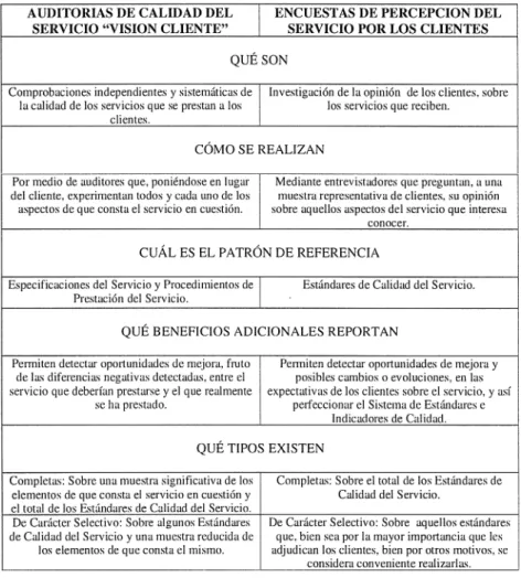 Fig.  1.- Características de  las Auditorías  y  las Encuestas 