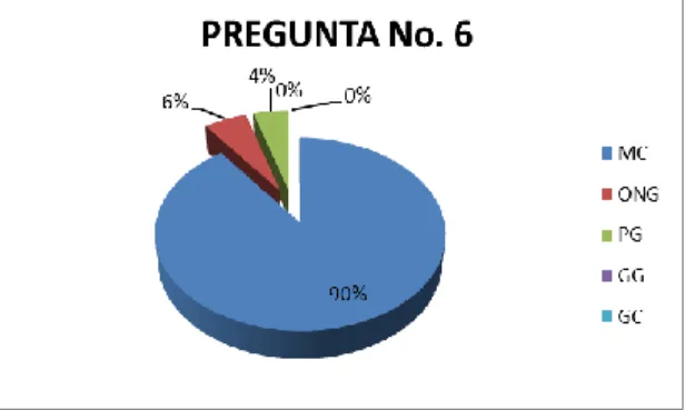 GRÁFICO Nº 6 