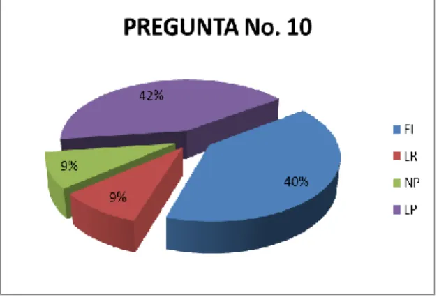 GRÁFICO Nº 10 