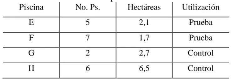 Tabla 2.Codificación de las piscinas de estudio de Camaronera Dos. 