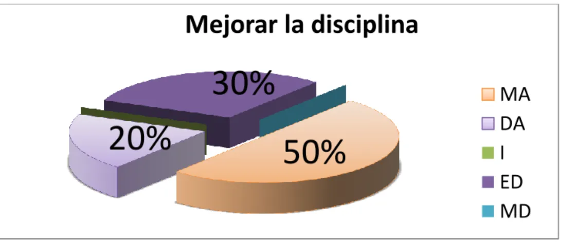 GRÁFICO  13 