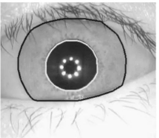 Figura 3.Identificacion  de bordes internos y externos del iris [33]   