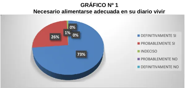 GRÁFICO Nº 1 