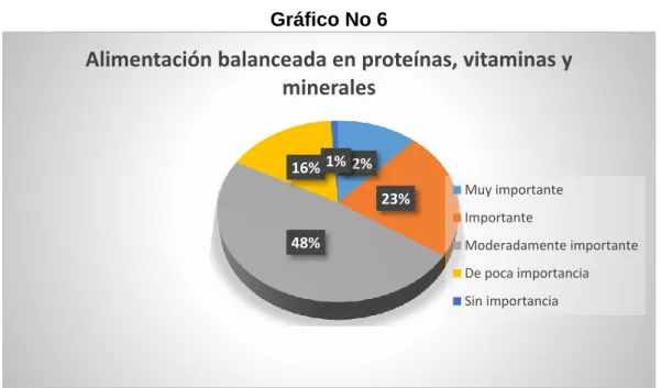 Gráfico No 6 