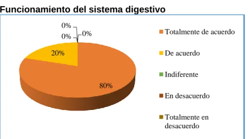 Gráfico  13 