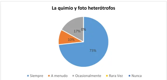 Gráfico N° 1 