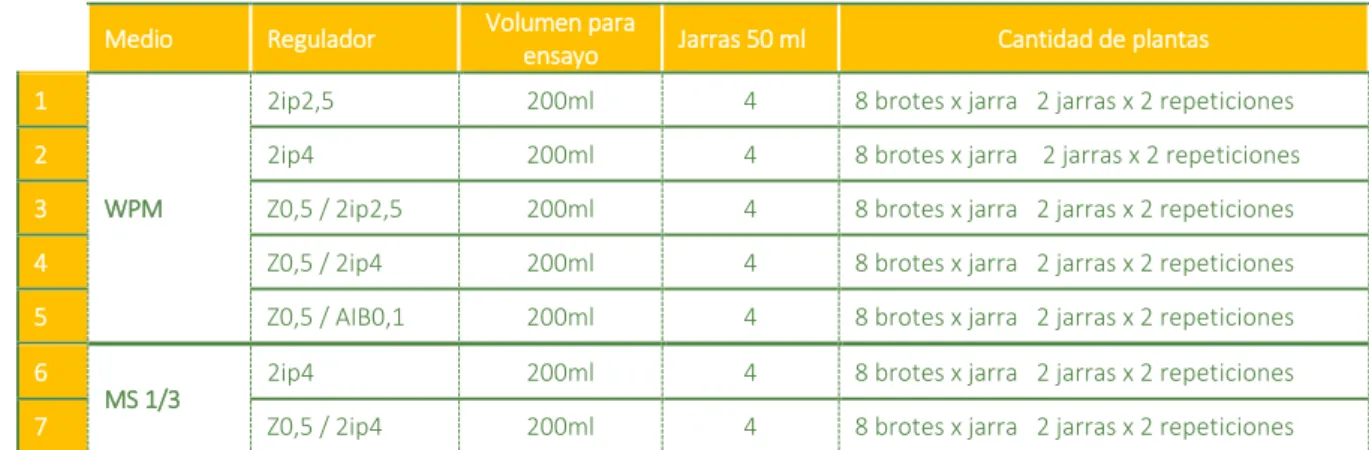 Tabla 2 Diseño de experimento de optimización de medio de enraizamiento de Vaccinium corymbosum   