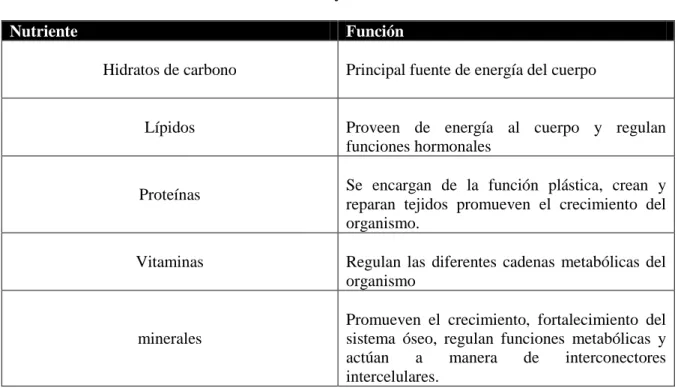 Tabla N. 2  Nutrientes y su función 