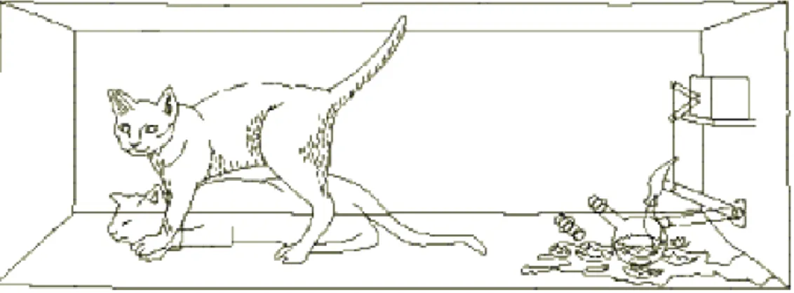Fig. 1. El gato de Schrödinger. 