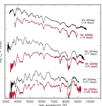 Figure 13. Expansion velocities of S ii λ5640, Si ii λ6355, O i λ7774 and the Ca ii NIR-triplet as measured from the minima of the P-Cygni line profiles in SN 2005bl.