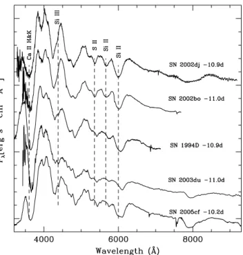 Figure 11. Same as Fig. 10, but for a phase of −4 d. The bibliographic sources for the spectra of SN 2002bo, SN 1994D, SN 2003du and SN 2005cf are the same as those in Fig