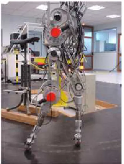 Figura 3. Prototipo del robot b´ıpedo del grupo de investigaci´on ARMOS [5]