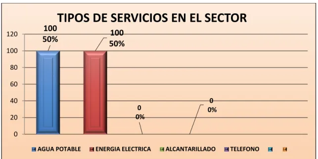 Gráfico 1 Tipos de servicios en el sector 