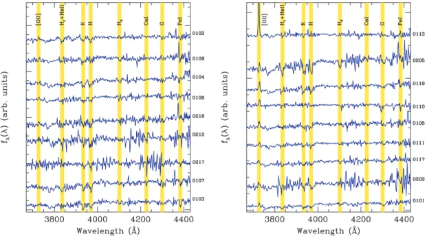 Figure 2. Spectra of RzCS 052 members coming the VLT run. We have vertically shifted the spectra and zoomed on a reduced wavelength range for display purpose.