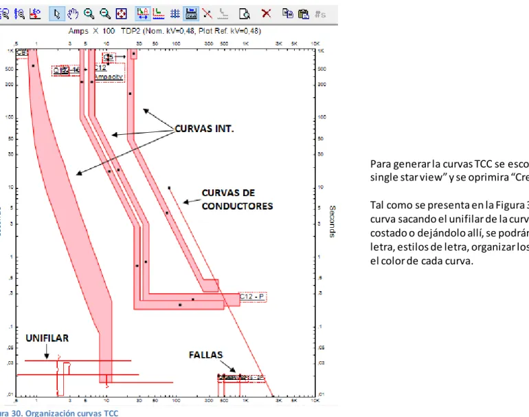 Figura 30. Organización curvas TCC 