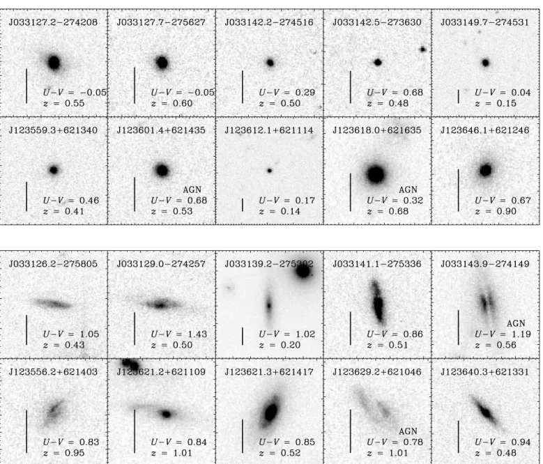 Fig. 3.— HST Advanced Camera for Surveys (ACS) z 850 example images of 10 blue-cloud galaxies that have obvious early-type morphologies (top panel ) and 10 red-sequence galaxies that have obvious late-type morphologies (bottom panel ); these images demonst