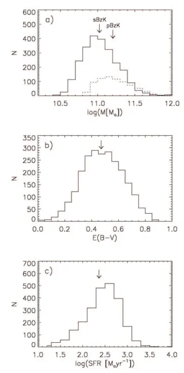 Fig. 11.—Differential K-band number counts of K < 20 sBzK (squares) and pBzK (circles) galaxies in the MUSYC Wide NIR Survey, together with data from previous works by Kong et al