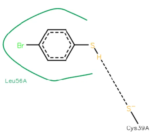 Figura 8. Interacciones del 4-bromobenzotiol en  un nuevo bolsillo de K-RAS [16].