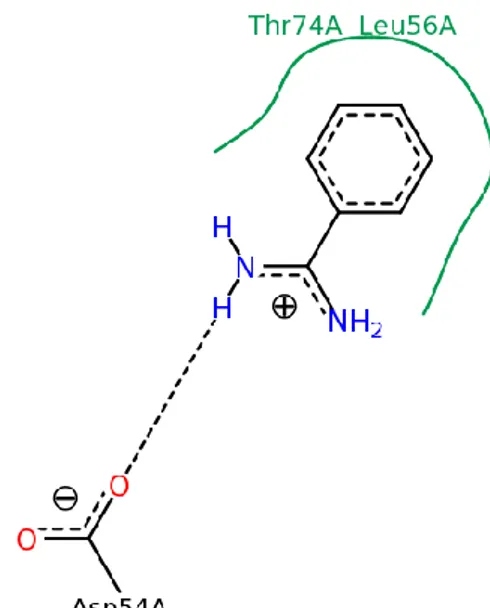 Figura 9. Interacciones de la benzimidina en un nuevo bolsillo de K-RAS [17].