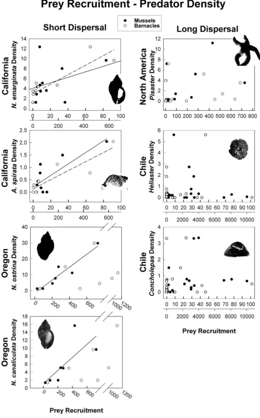 Figure 2: Significant regressions of mean barnacle recruitment (dashed lines) and mean mussel recruitment (solid lines) versus mean predator density across sites in Oregon, California, and central Chile