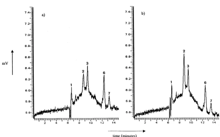 Fig. 2. Electropherograms corresponding to the injection of a commercial powdered soybean milk in which bovine whey proteins were included in its formulation