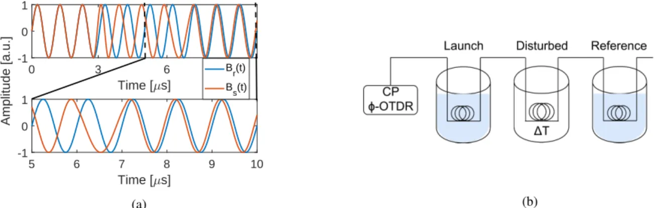 Fig. 1. (a) Consequences of a localized disturbance on a simplified B(t). On the bottom is shown a detail of the traces after the perturbation; (b) Schematic representation of the setup.