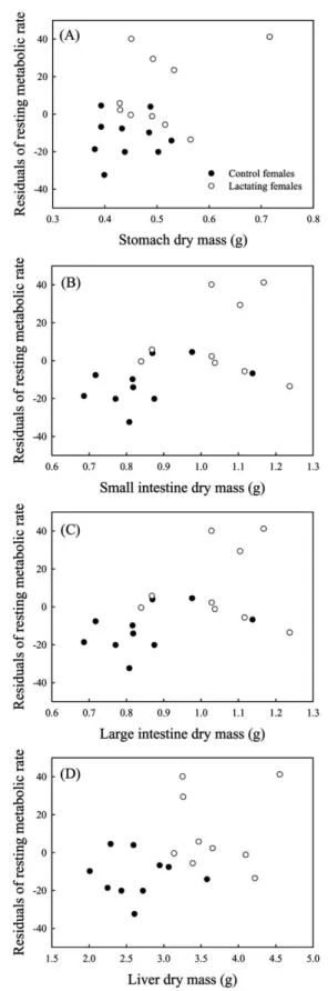 Figure 3. Activity rate of maltase and aminopeptidase-N integrated over the small intestine in control and lactating females ( n p 10 for each group)